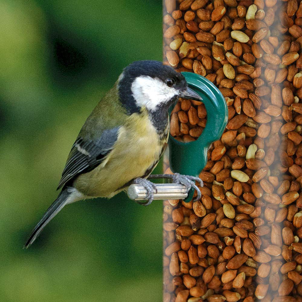 SQUAWK Ganze Erdnüsse - Frisches Premium-Wildgarten-Vogelfutter-Nuss-Energie-Futter (10kg)