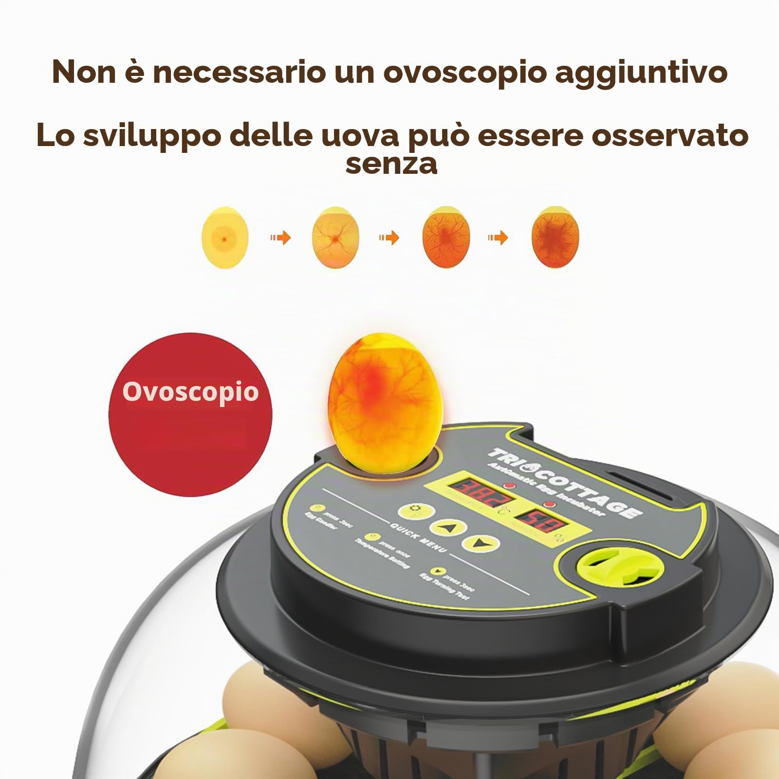 Incubatrice Automatica per 12 Uova con Umidità, Alimentazione Acqua, Rotazione Automatica delle Uova e Controllo della Temperatura per Polli, Quaglie, Anatre e Uova di Pollame.