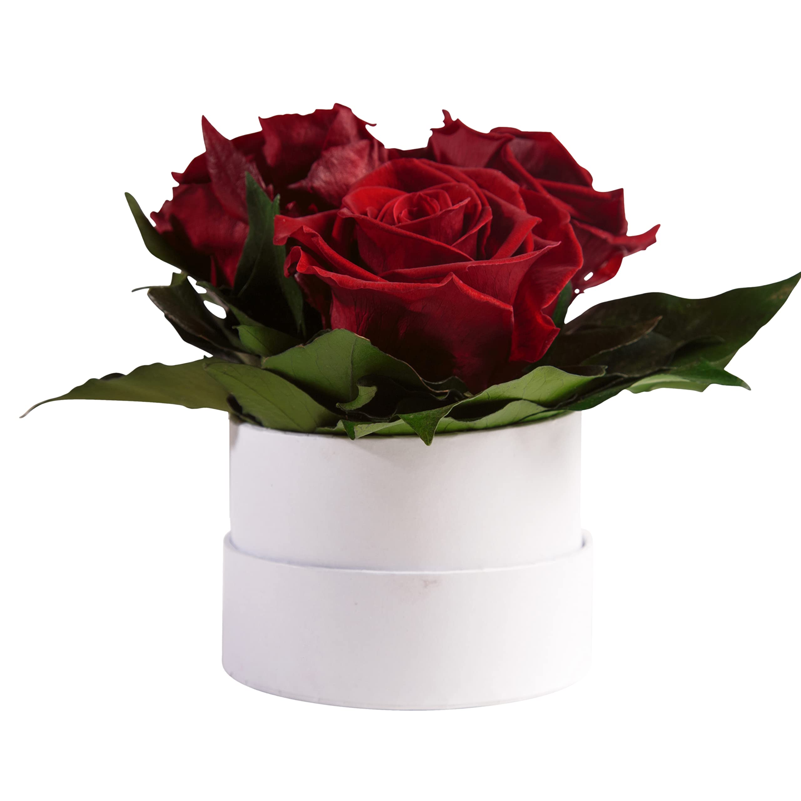 ROSEMARIE SCHULZ®, scatola con rose, La Vie en Rose, 4 rose conservate della durata di 3 anni, per pegno d'amore, fidanzamento, proposta di matrimonio