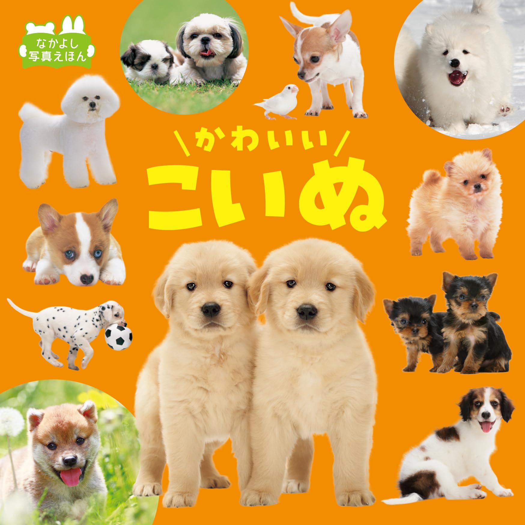 Amazon.co.jp: かわいいこいぬ (なかよし写真えほん) : 福田豊文: 本