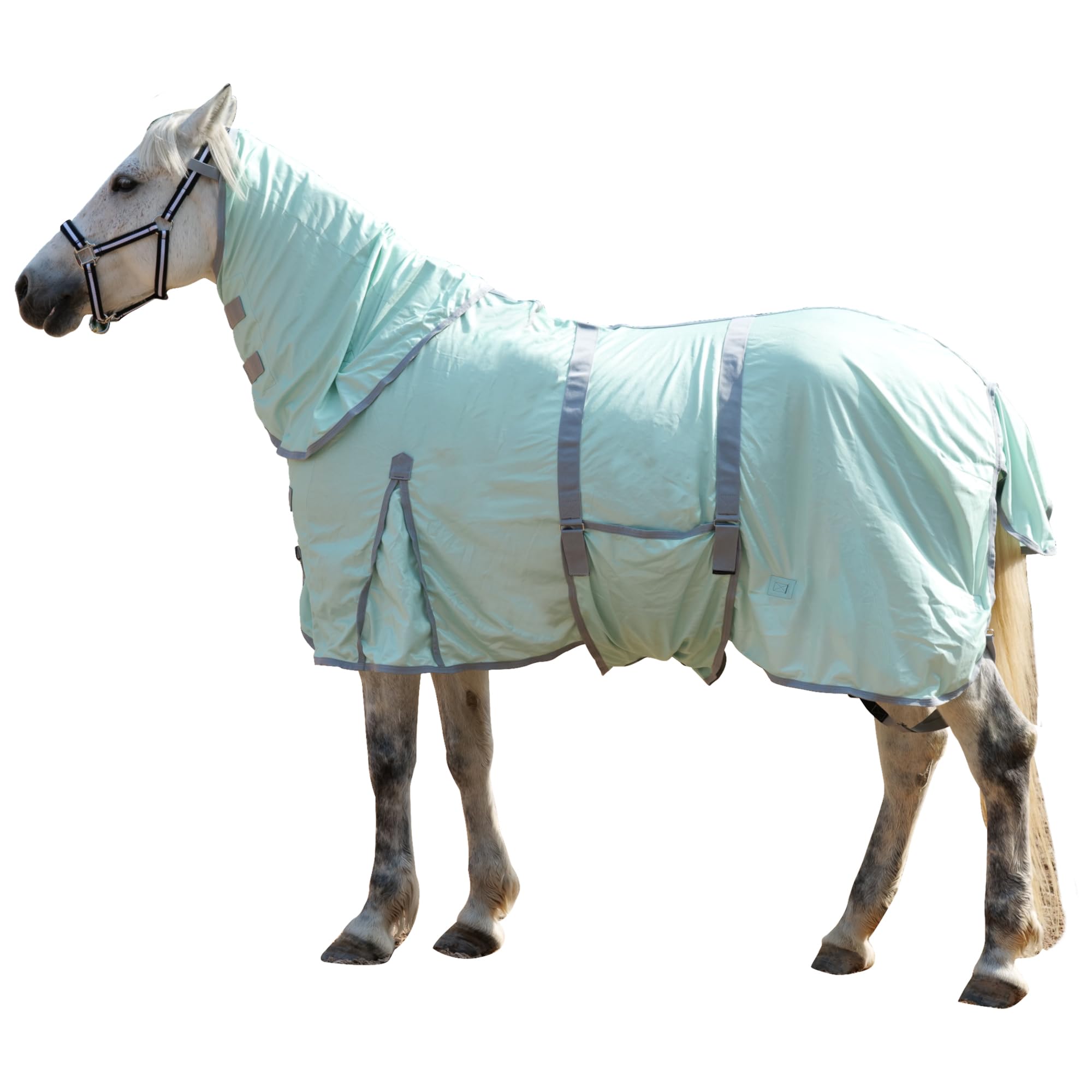 Gallopoff Fliegendecke Pferde mit Halsteil – atmungsaktive Sommerdecke mit UV-Schutz und Scheuerschutz, Verstellbarer Brustverschluss, Bauchgurte, Beinschnüre und Schweiflatz Green 155 cm
