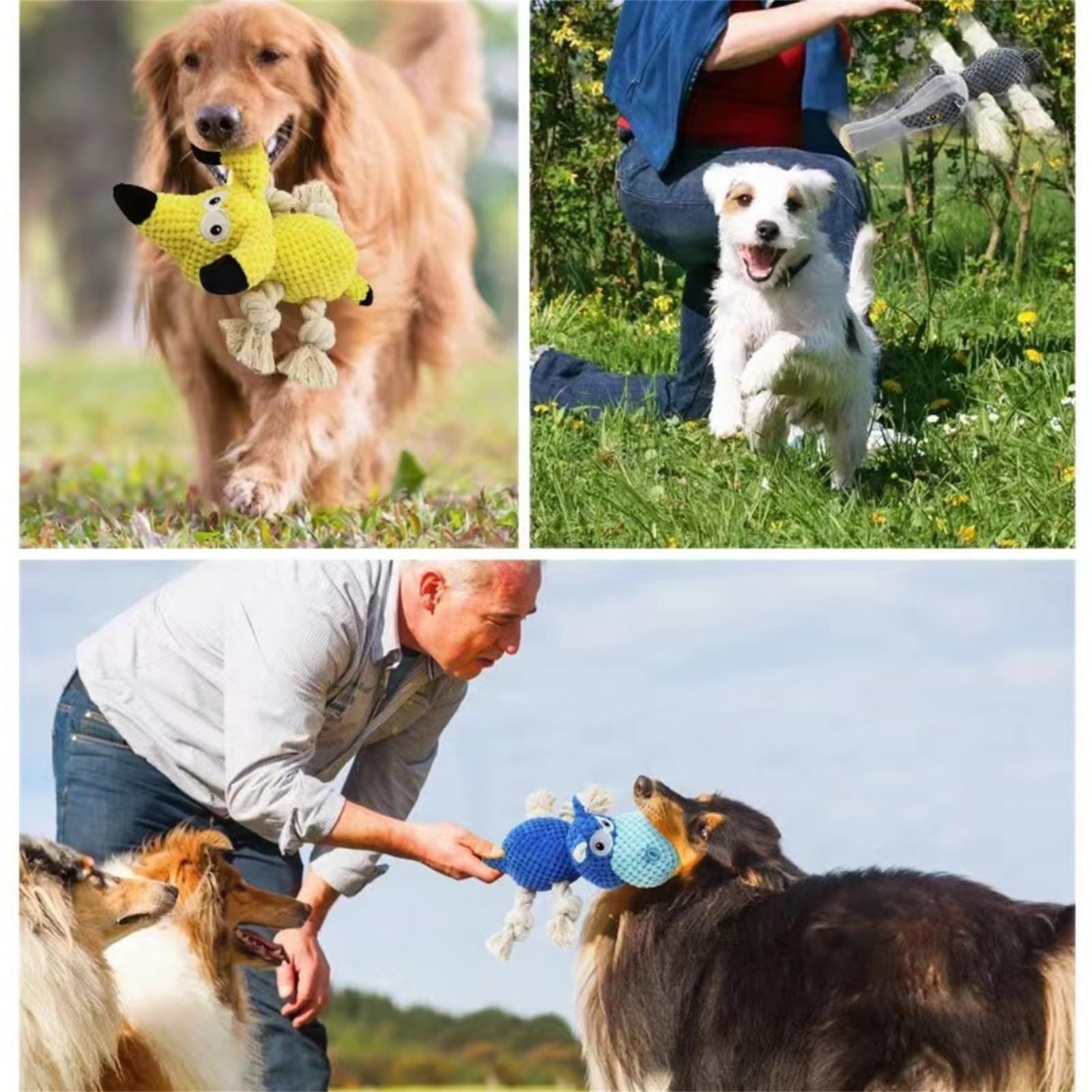 Hundespielzeug, Tauziehen Plüsch Hundespielzeug, Süßes Quietschendes Und Unzerstörbar, Interaktives Baumwollschnur Plüsch-kauspielzeug Klingendes Plüsch Für Aggressive Kauer (#A+#B+#C)