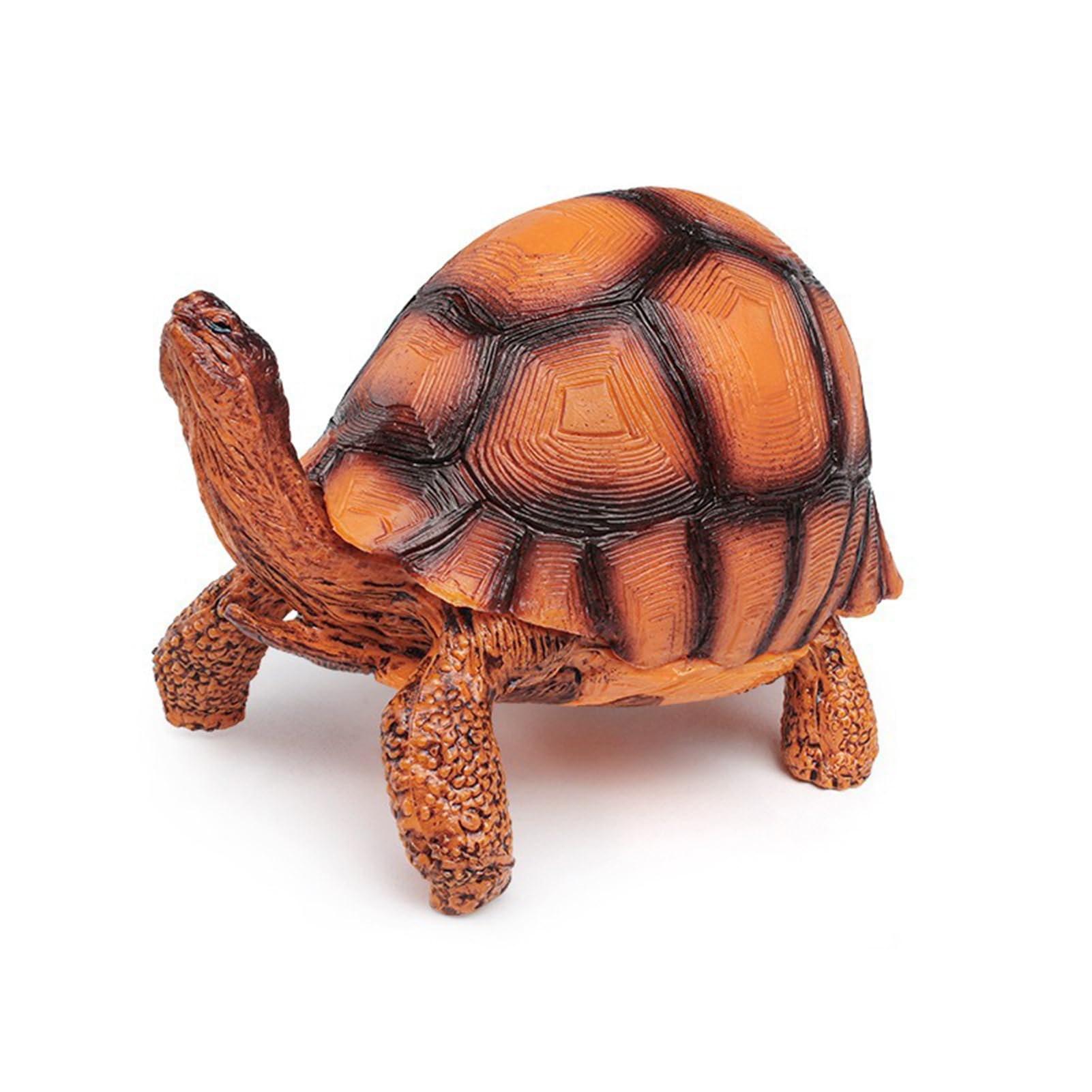 Fogcroll Simulation Model Realistic Tortoise Figurine Miniature Animal Educational Toy Home Office Desktop Decoration Ornament