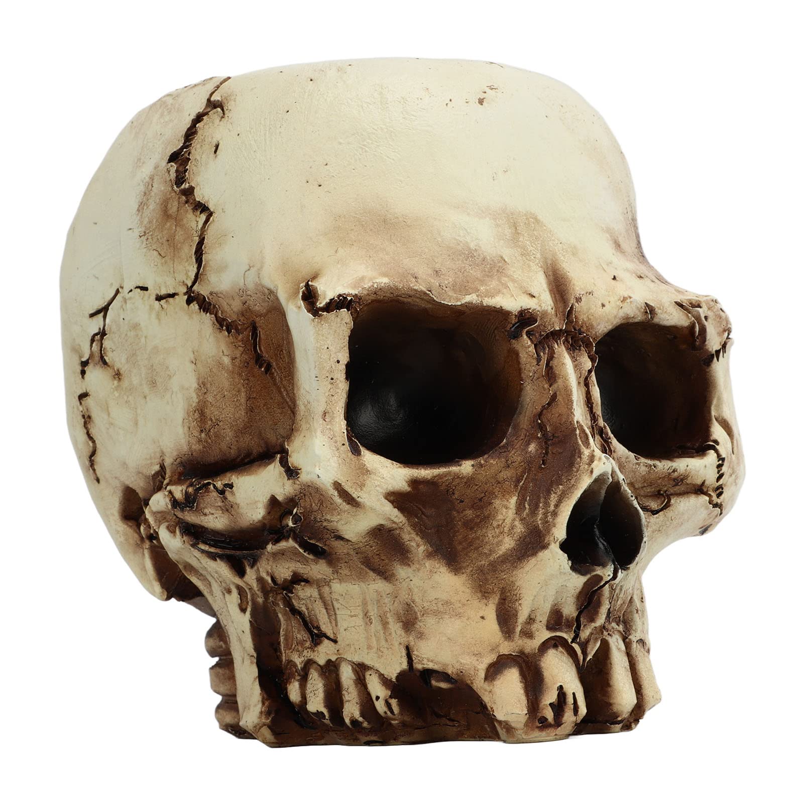 Vaso da appendere a forma di teschio, vaso da interno ed esterno gotico, porta piante grasse spettrale, decorazione di Halloween