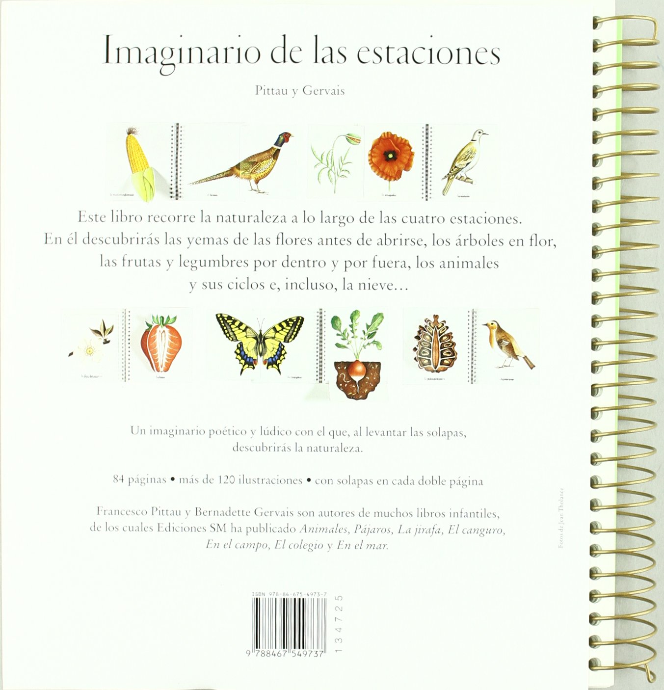 Imaginario de las estaciones