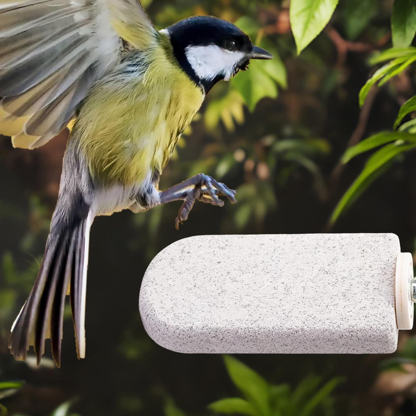 Vogelsitzstangen für den Vogelkäfig