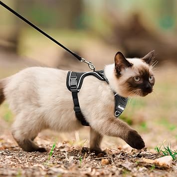 BECHTEL Cat Harness and Leash, Adjustable, Reflective, Black, Small