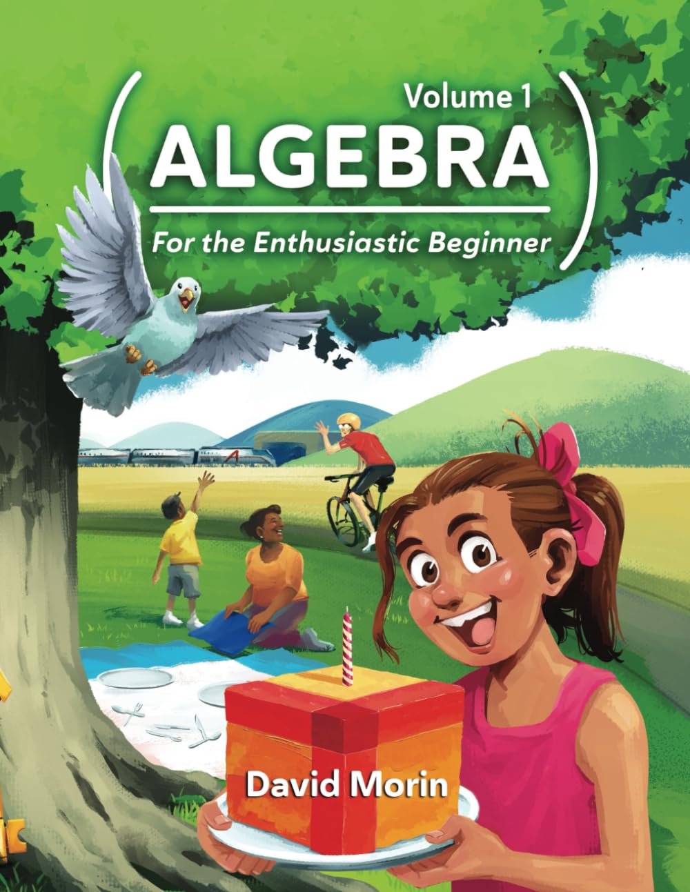 Algebra: For the Enthusiastic Beginner, Volume 1      Paperback – August 15, 2024