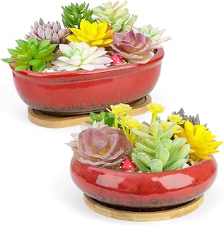 Succulent Pots, 1 Rectangle Planter + 1 Ceramic Bonsai Pots with Drain Tray | 2 Pack Large Shallow Succulent Planters for Indoor Plants, Round Cactus Flower Plant Pot for Desk Windowsill Decor