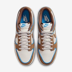Amazon.com | Nike Dunk Low Retro Premium Men's Shoes (FN5825-100
