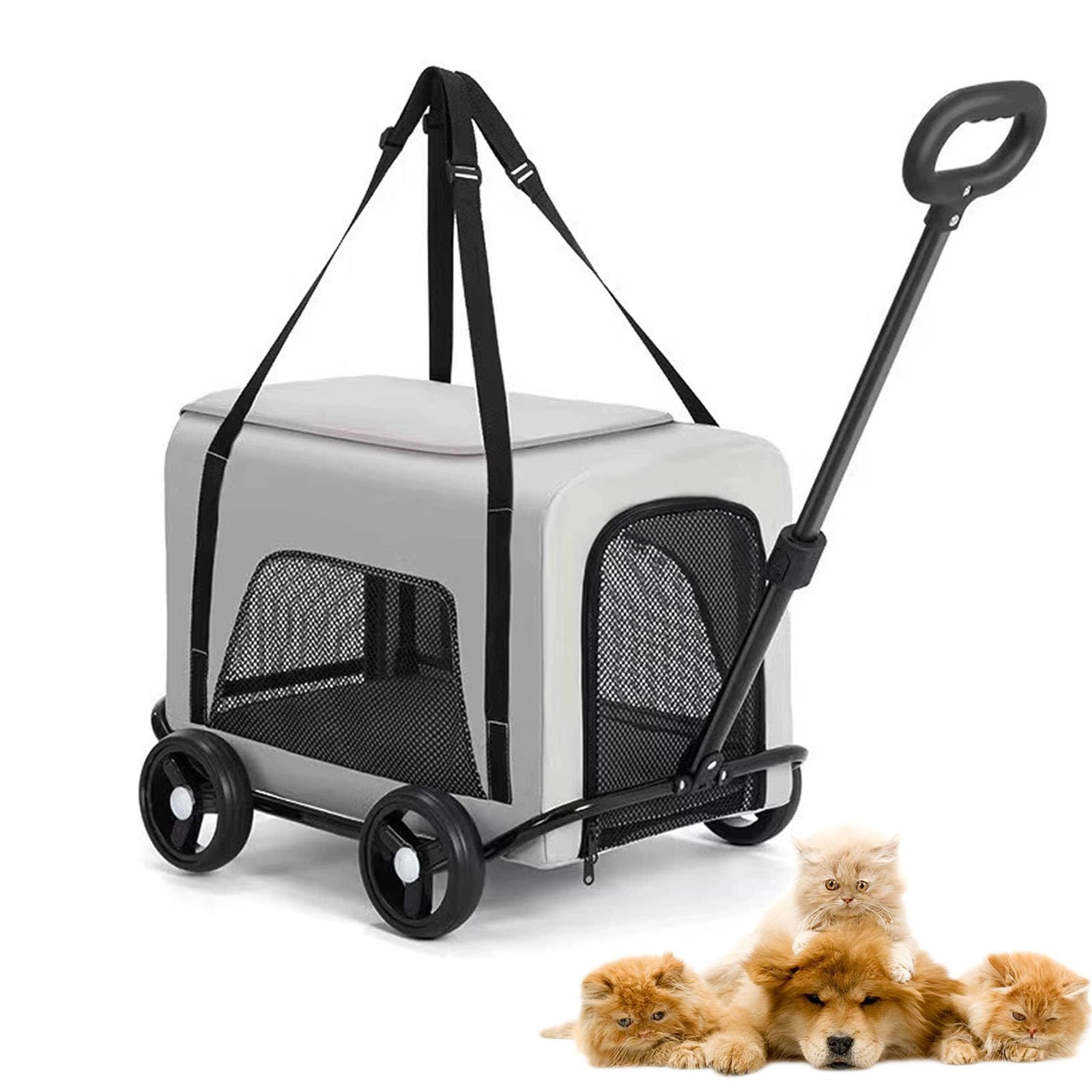 Poussette chien pliable pour promenades et sorties en ville landau
