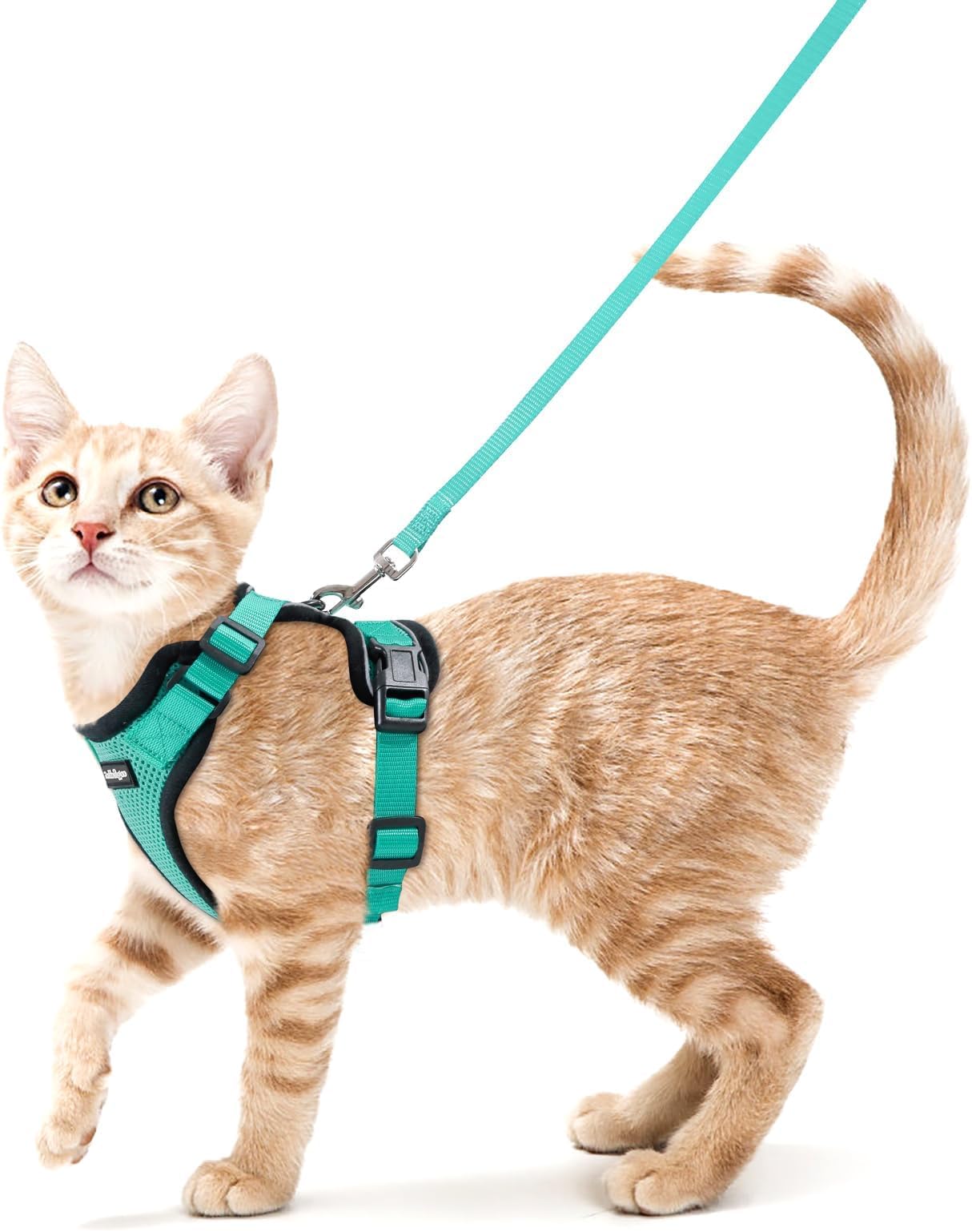 rabbitgoo Cat Harness and Leash for Walking, Escape Proof Soft Adjustable Vest Harnesses for Cats, Easy Control Breathable Reflective Strips Jacket, Emerald, S (Chest: 18" - 20")