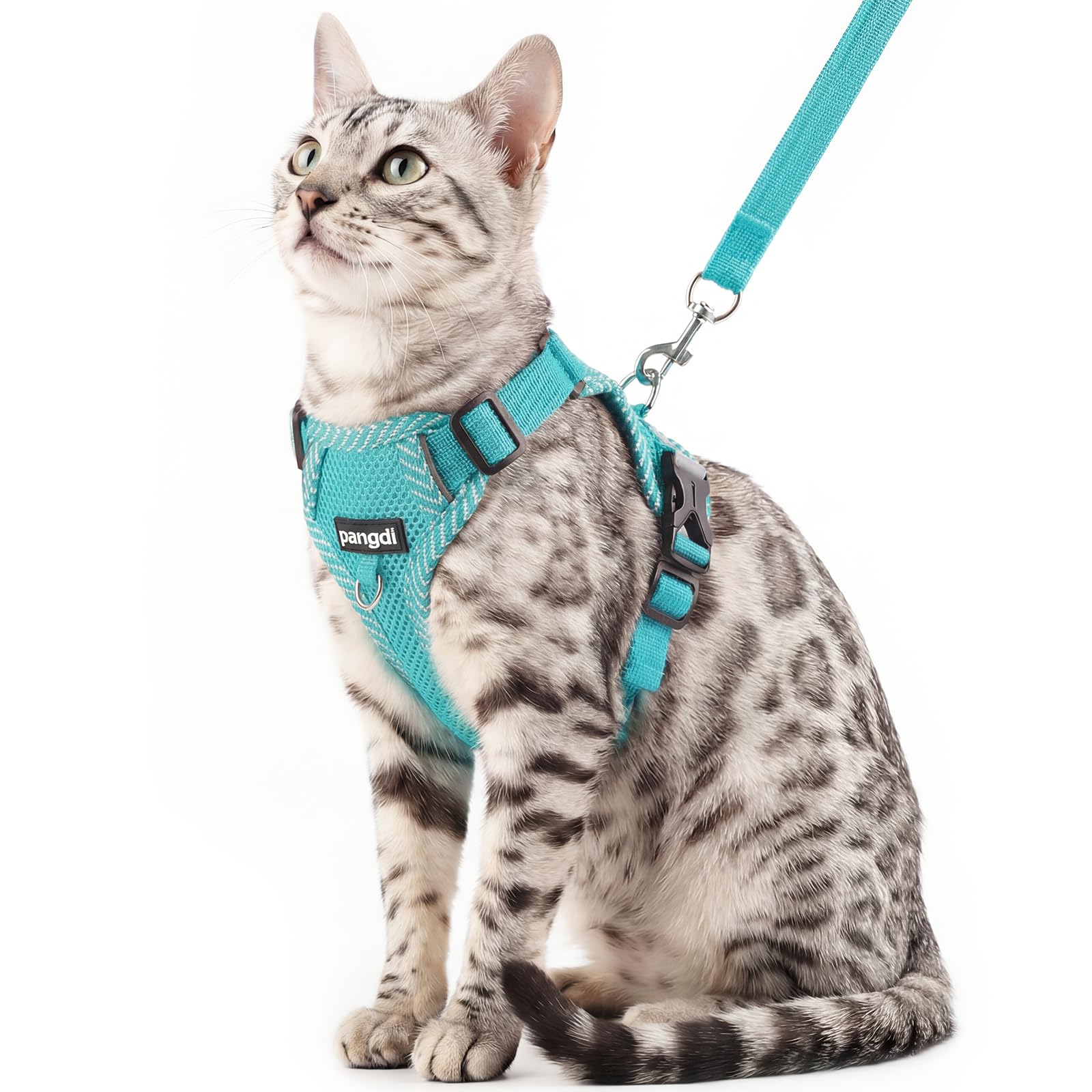 Cat Harness and Leash Escape Proof Extra Large Kitten Harness Maine Coon Cat Vest for Walking Travel, Turquoise, XL