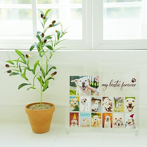 Miniatura 9 de LOOKEY Marco de fotos acrílico para perros, marco de recuerdo de mascotas, regalo conmemorativo para mascotas por pérdida de perro, marco de collage