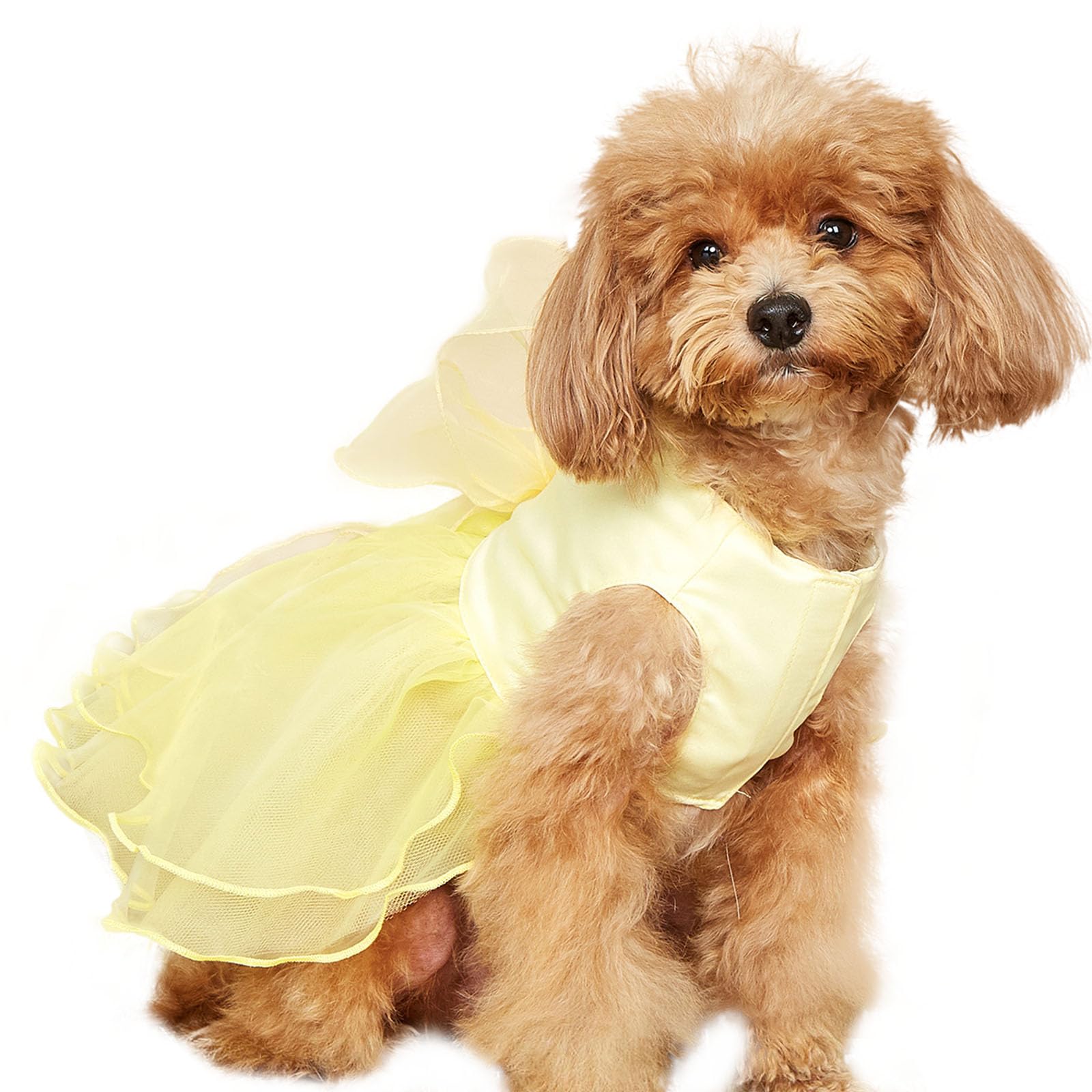 UOSIA Dog Princess Dress for Small Medium Dogs Summer Girl Puppy Tulle Dress formal Pet Wedding Party Birthday Outfit Yellow XS — image 1
