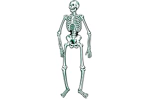 Jointed Plastic Skeleton: The Perfect Paper Skeleton Decoration for Any Occasion