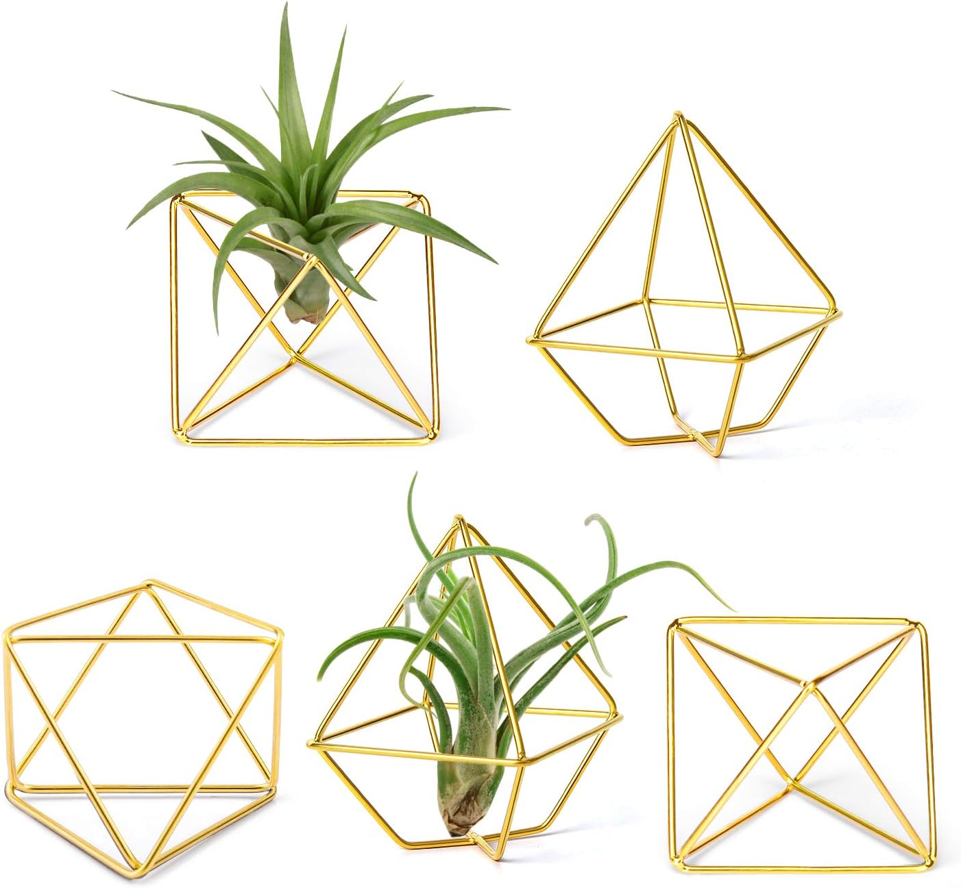 Mkono 5 Pack Air Plant Holder Metal Himmeli Decor in 2 Shapes Mini Desk Air Fern Display Stand Hanging Airplants Rack Modern Geometric Planter Tillandsia Hanger for Home Office Wedding Gift Idea, Gold