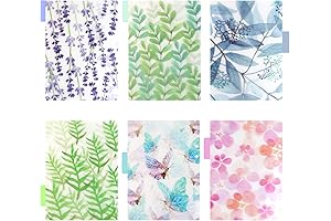 Framendino A5 6-Ring Translucent Binder Dividers