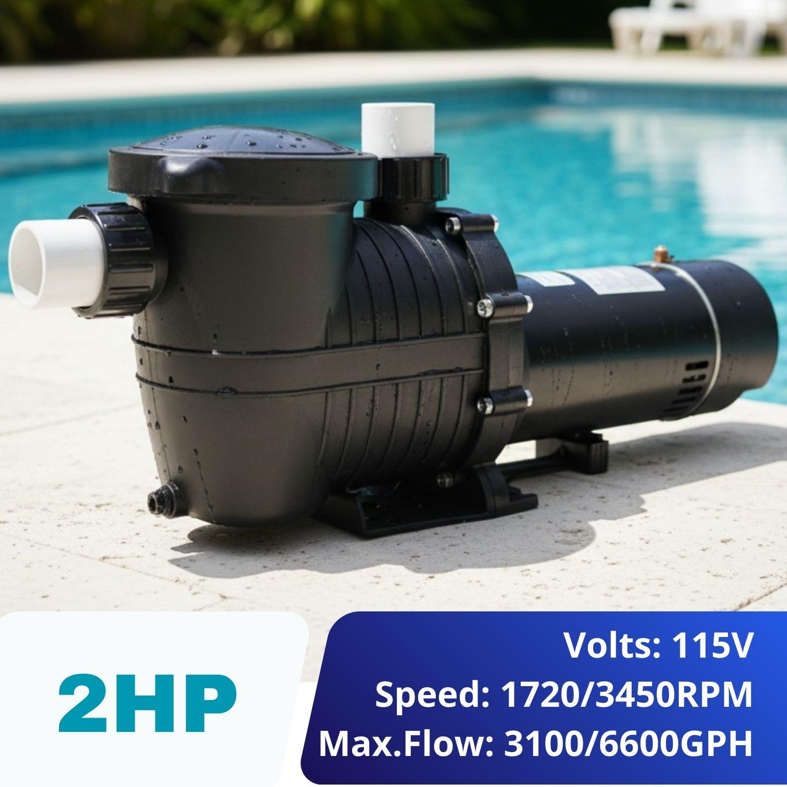 LANCHEZ 2HP Dual Speed Swimming Pool Pump, 115V 6600GPH High