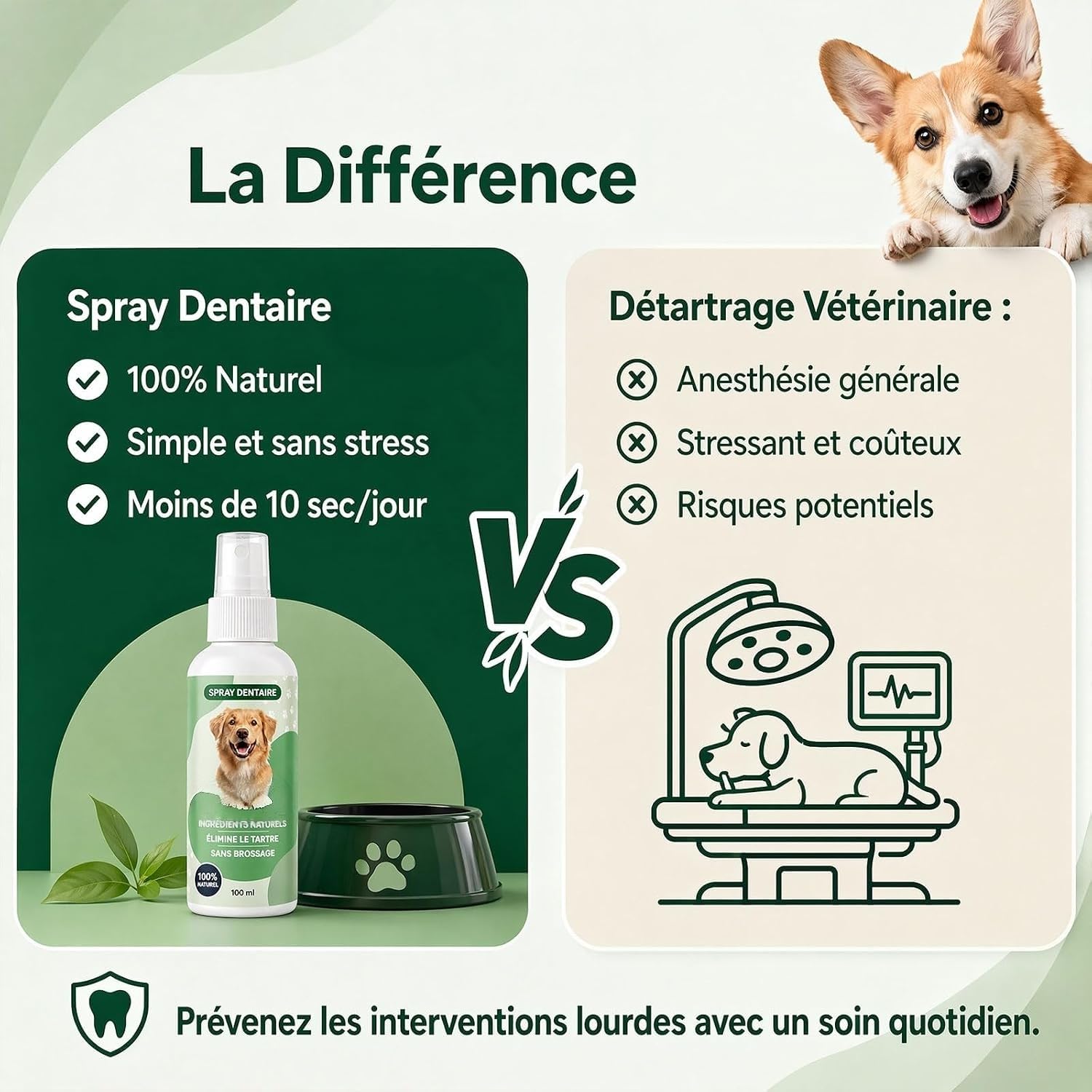 Everly Spray Dentaire Chien Antitartre Haleine Fraîche sans Brossage
