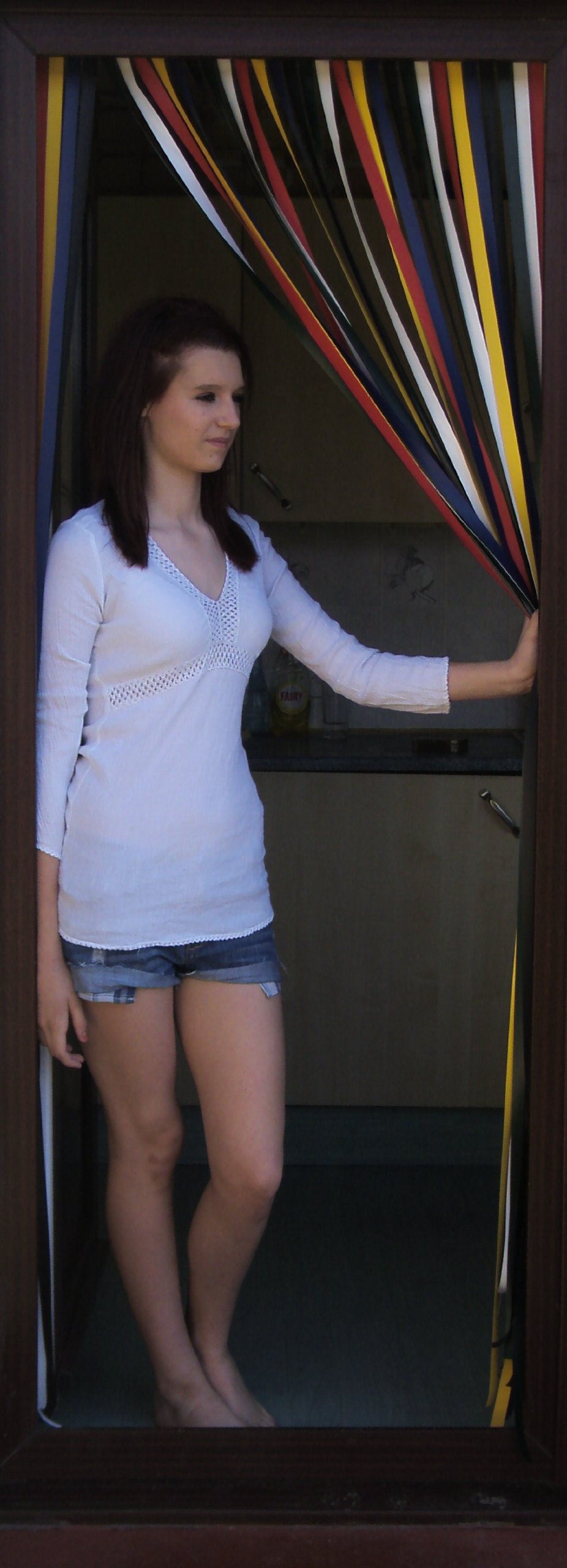 Holland Plastics Original Brand Heavy Duty Bug Strip/Fly Blind Complete with Screw in Fitting Hooks for Wooden Door Frames-90Cm Wide. 'Traditional Multi'