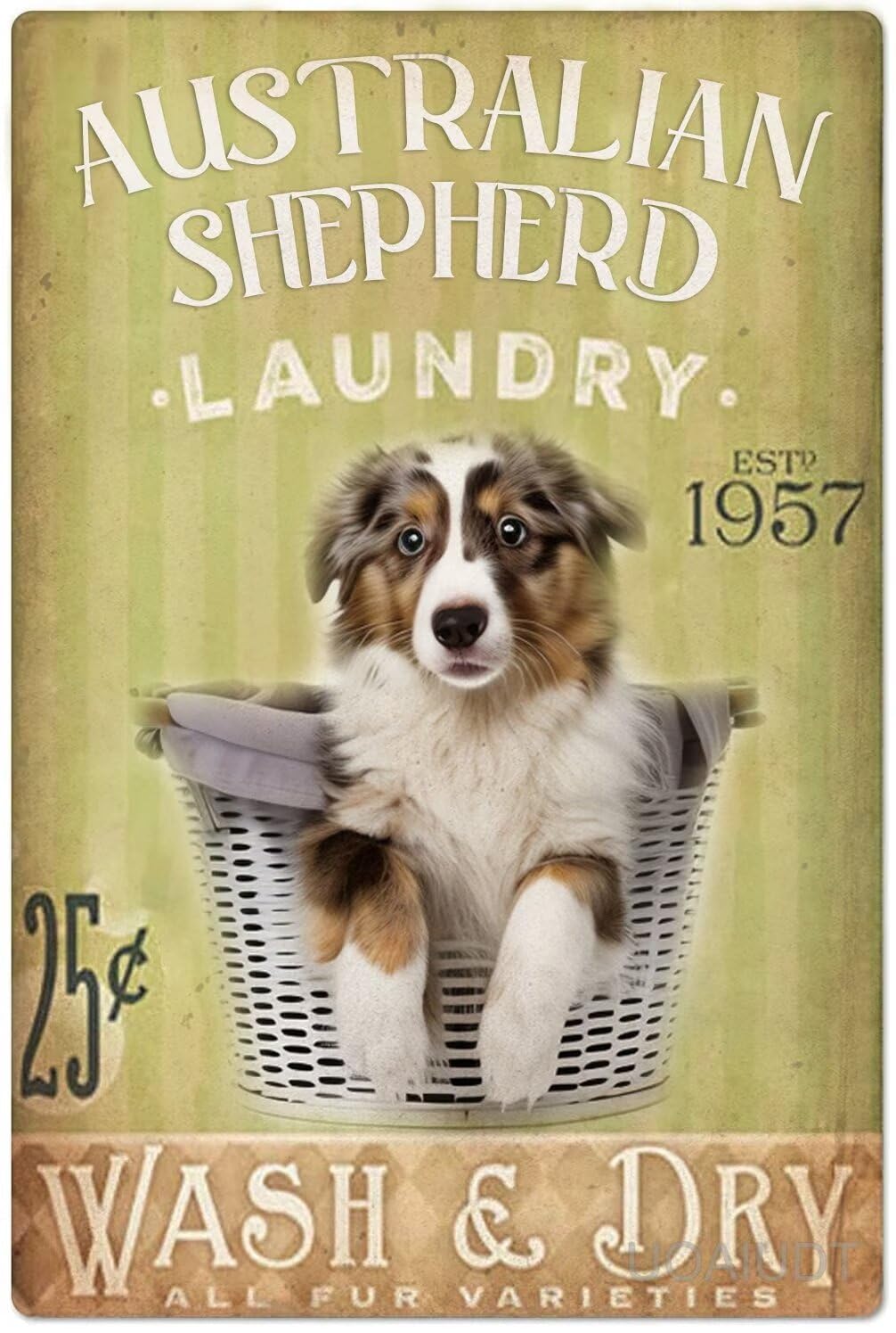 Anceky Laundry Decor Australian Shepherd Diamond Art Kits for Adults- 5D Diamond Painting Kits Dog Laundry Painting Arts Crafts for Adults Dog Lovers Home Wall Decor 12X16 Inch