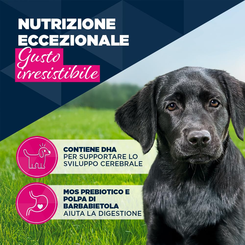 EUKANUBA Cibo umido per cuccioli con agnello e patate, alimento umido premium senza cereali per cani junior, 6 x 400 g lattine