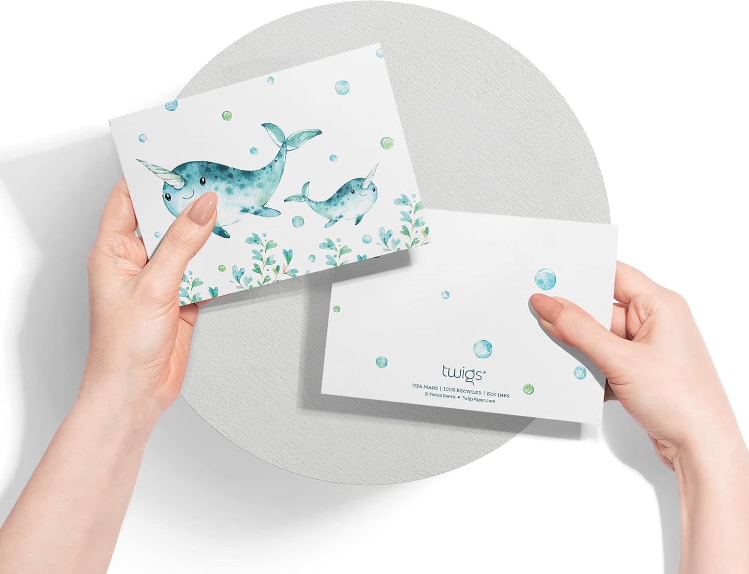 Twigs Paper - Assorted Ocean Animals Greeting Cards - Stationery Cards with Envelopes - Thank You Card - Blank Note Cards - Greeting Cards for All Occasions - Made in USA (5.5 x 4.25, Set of 24)