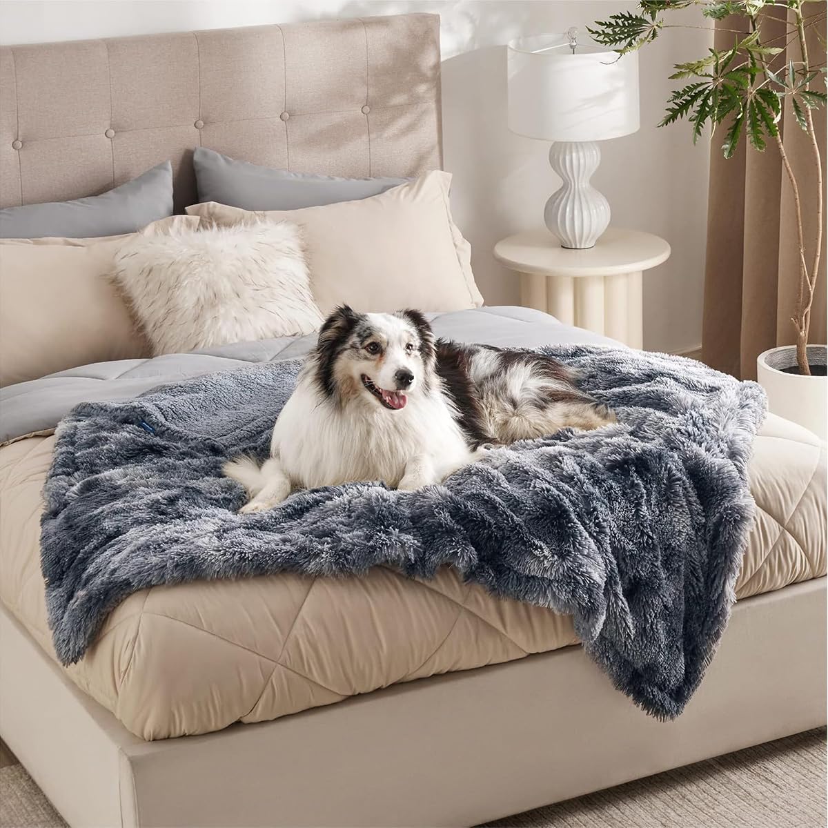 Mantas impermeables para perros, mantas grandes y medianas para cachorros, gatos, manta a prueba de fugas para protector de sofá cama, tapete térmico suave y cálido para dormir (negro, 145 x