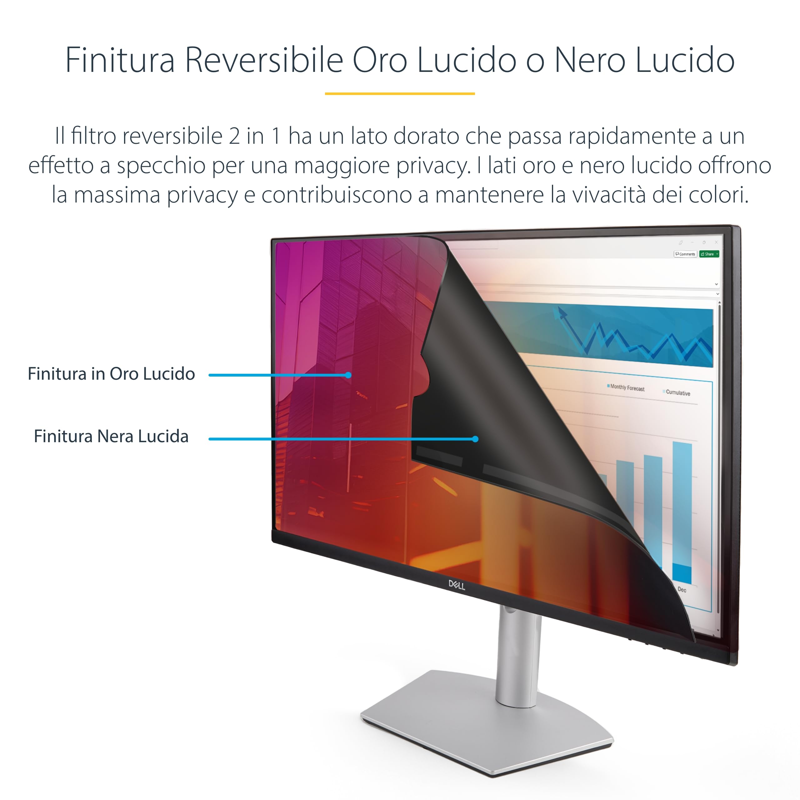 StarTech Filtro Privacy Oro Reversibile Rimovibile per Monitor 24" 16:10 | Protegge i Dati Sensibili, Facile da Installare e Rimuovere