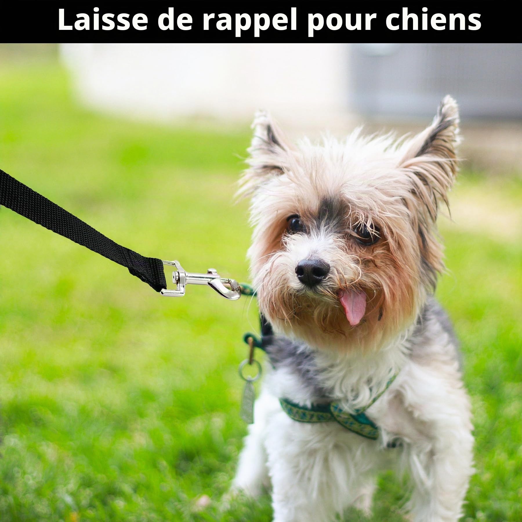 Laisse pour chien 5 m de CiciIng, Laisse imperméable avec dragonne et mousqueton à 360°, Laisse robuste pour l'entraînement pour chiens de petite, moyenne et grande taille