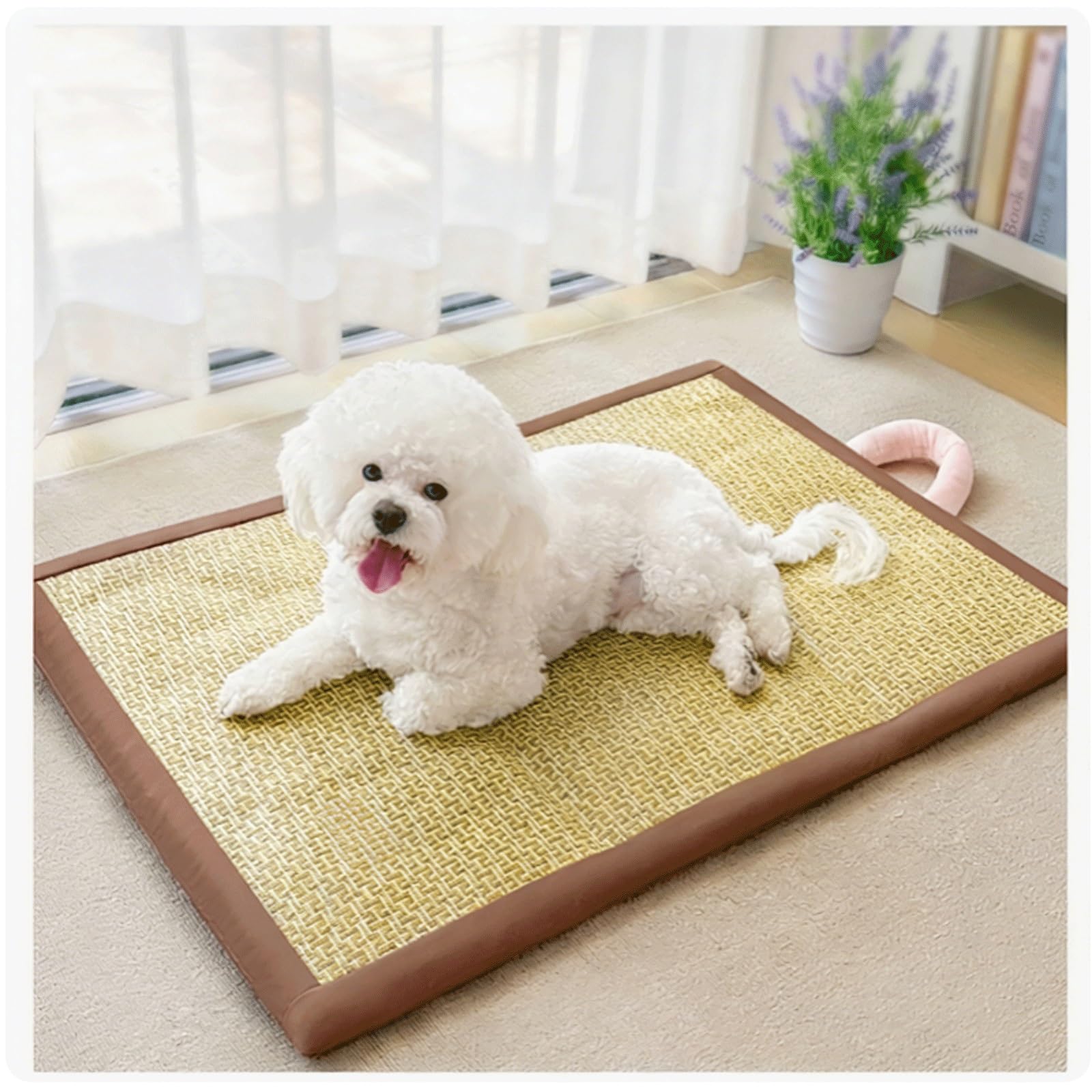 Tapis de refroidissement pour chien en rotin fini les coups de chaleur
