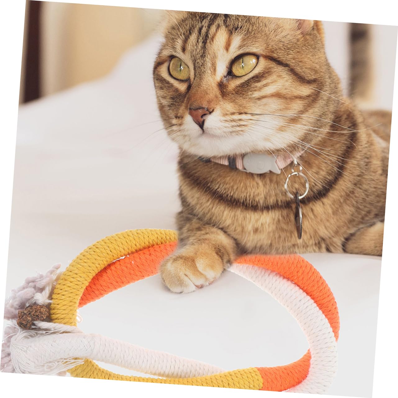 VANZACK 12pièces Jouets à Mâcher Corde pour Chats Jouets Interactifs pour Et Divertir Les Chats Intérieur