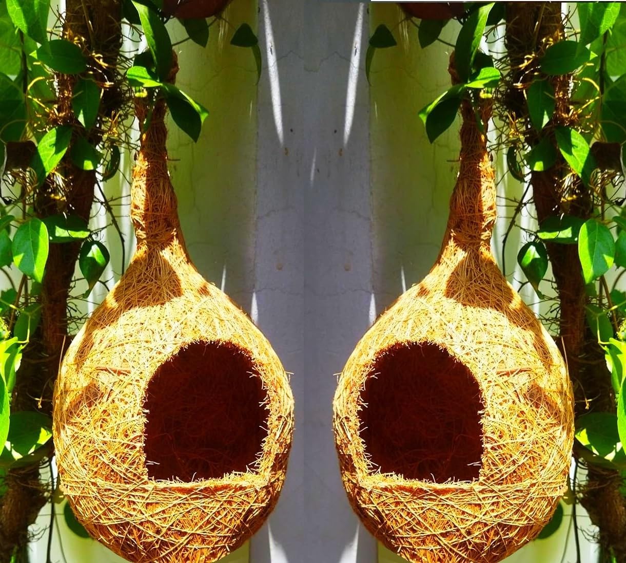 ZENRISE Natural bhaya Bird nest for Cages and breeding for All Medium and Small Birds - Pack of 2 (B0D8WMZWFM) Amazon Price History, Amazon Price Tracker