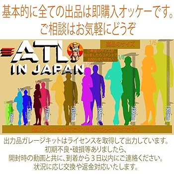 レイゼル バルダーズ・ゲート3 1/8 未塗装未組立 フィギュア ガレージキット レイゼル バルダーズ・ゲート3 1/8 未塗装未組立 フィギュア