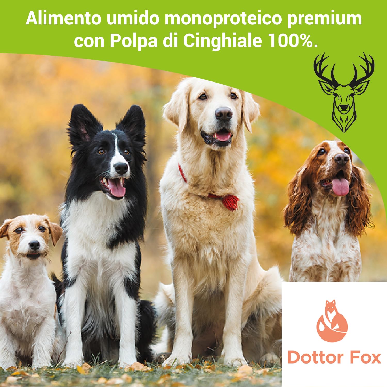 Lupe Polpa di Cinghiale, Alimento Umido Monoproteico per Cani e Gatti, 99,5% Cinghiale Italiano, Senza Cereali, Pasto Completo Ispirato alla BARF, 400 g