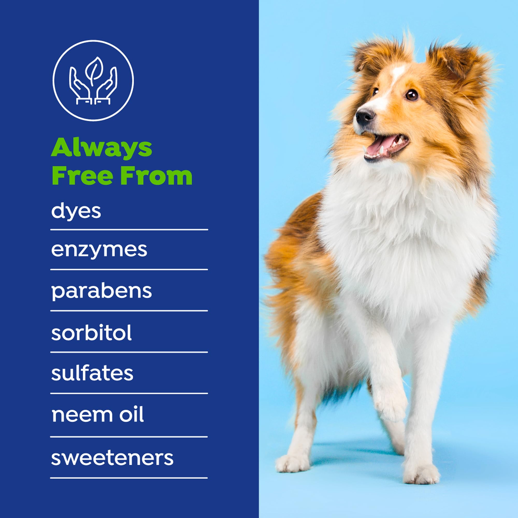 Natur&eacute;l Promise Fresh Dental Hip and Joint Supplement & Dental Water Additive for Dogs, 18oz Bottle - image 5