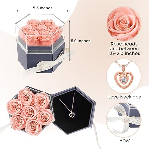 Miniatura 2 de Beaulasting Roses Rosas preservadas en un joyero, rosas eternas con collar, regalo para el día de la madre, día de San Valentín, boda, aniversario,