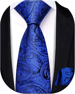 Boys Ties Self Tie Silk Striped Kids Necktie and Pocket Square Set Paisley Boys Tie for Age 8-11 Wedding