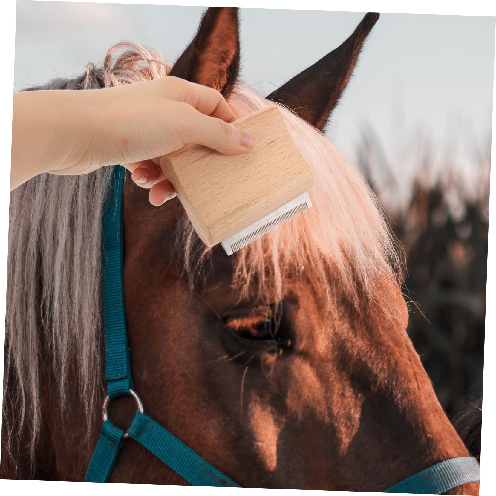 minkissy Cepillo de madera para caballos de 4 piezas, suministros agrícolas, cepillo removedor de pelo, cepillo de metal para caballo, herramienta de aseo para caballos, herramienta de eliminación de
