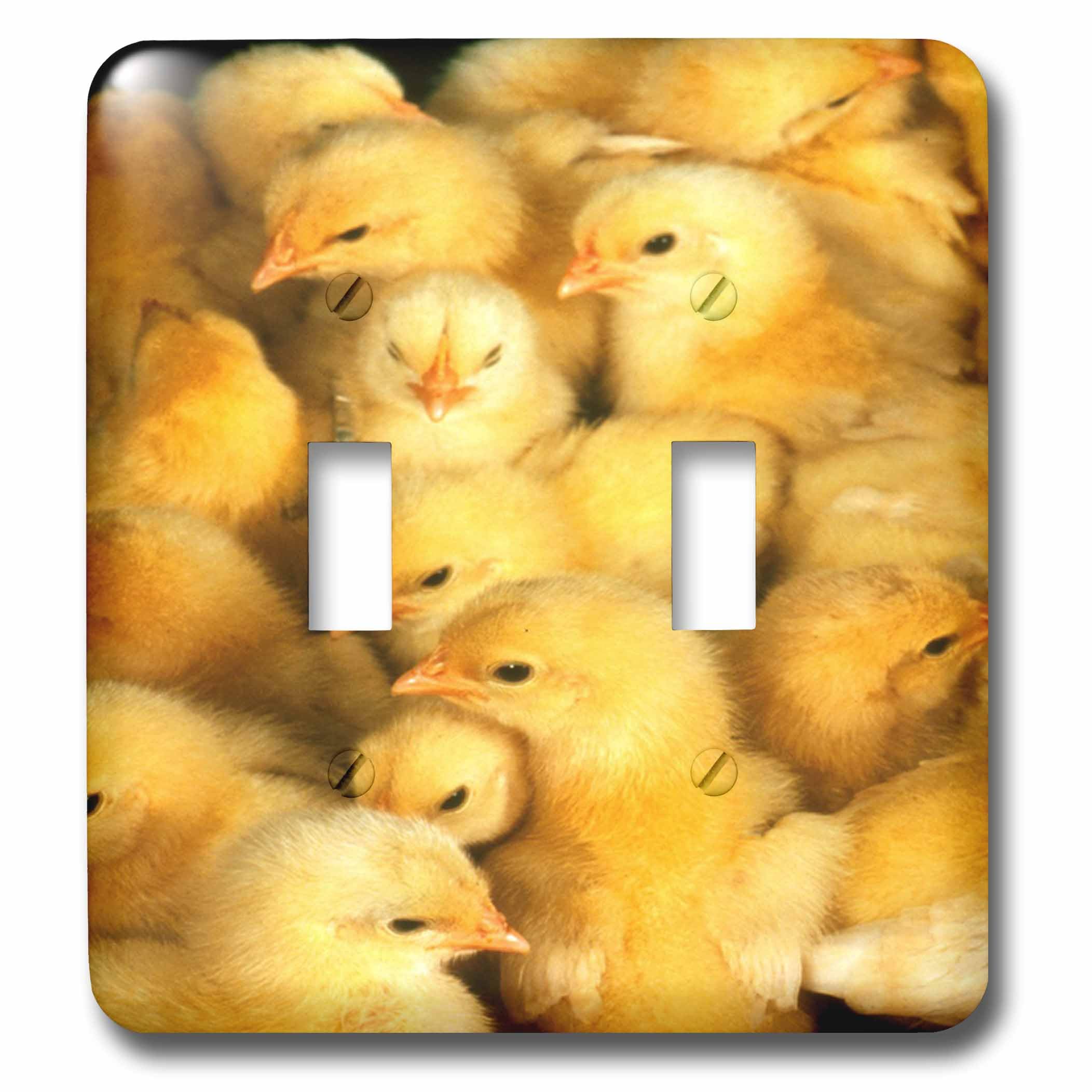 Interrupteur à baïonnette décoratif 3dRose LSP_44789_2 motif poussins de la ferme