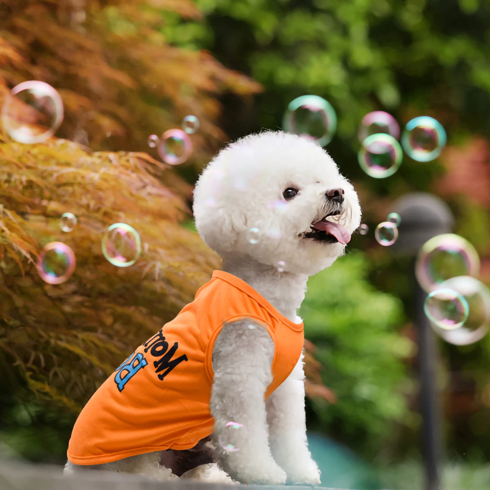 8 camisas para mascotas para perros pequeños, gatos, ropa impresa suave y transpirable con bonito patrón, sudadera para perro para chihuahuas, papillones, pomerania (para niño fresco, pequeño)
