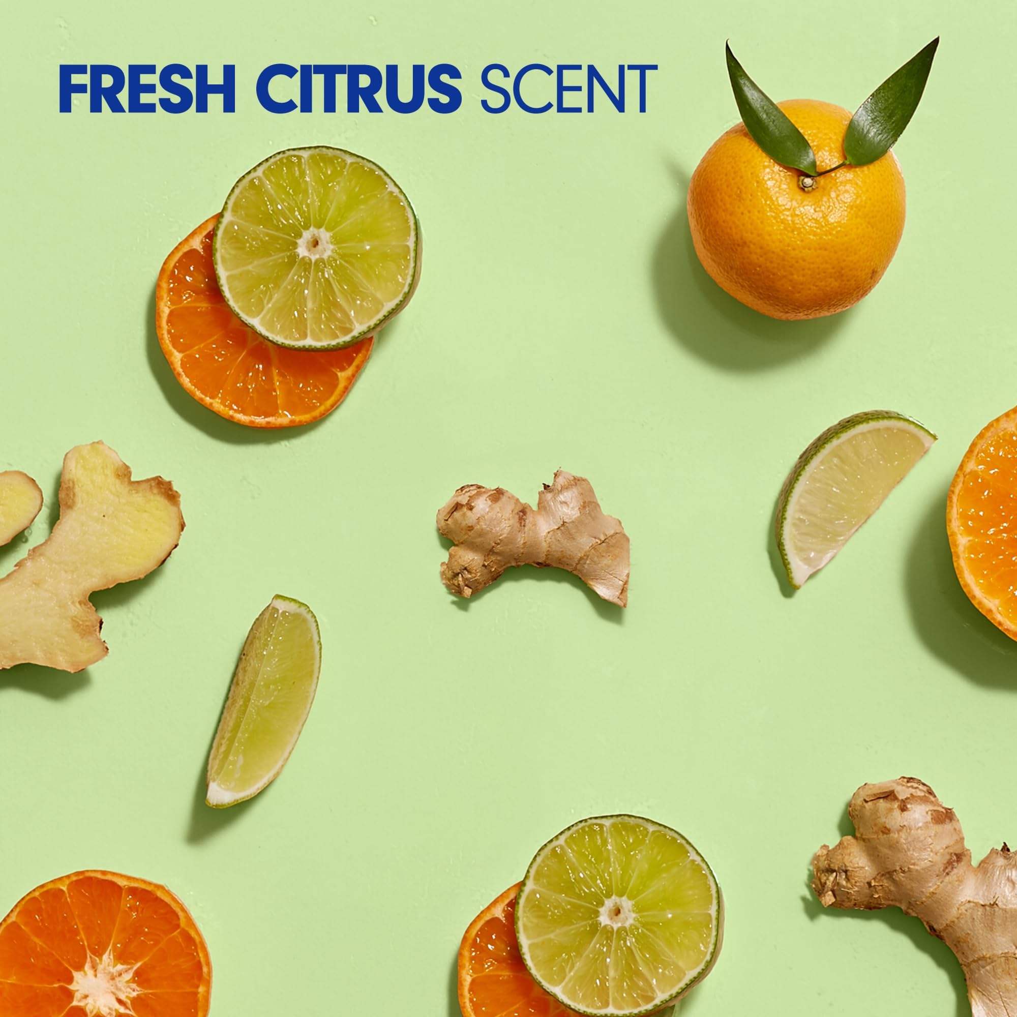Softsoap Fresh Citrus Liquid Hand Soap Refills, 50 Fl Oz, Carton of 6