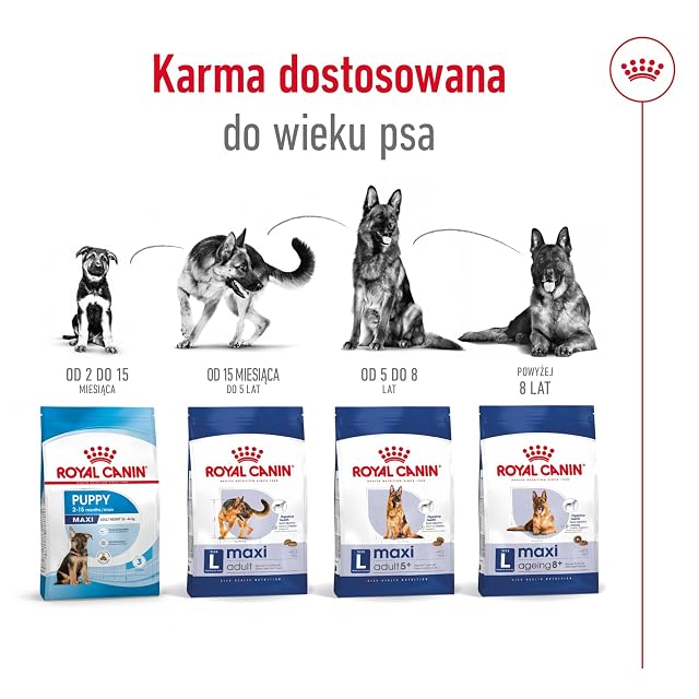 Foto 8 de 8 de Royal Canin Maxi Adulto