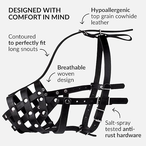 Miniatura 3 de CollarDirect Bozal para perro de pastor alemán dálmata Doberman Setter cesta de cuero mediano y grande razas negro marrón L negro