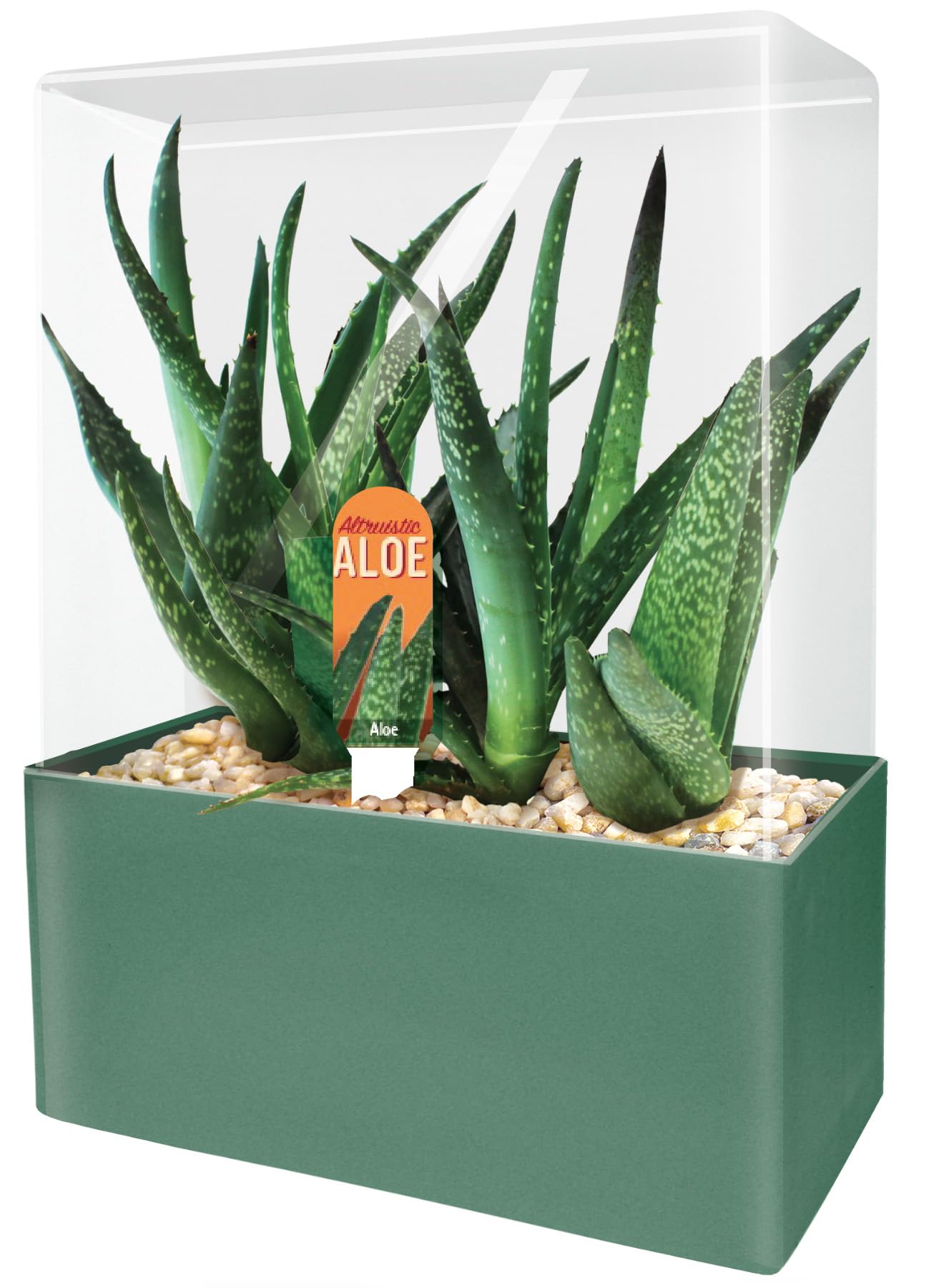 dmso gel with aloe vera DMSO Gel mit Aloe Vera - 200ml main image 1