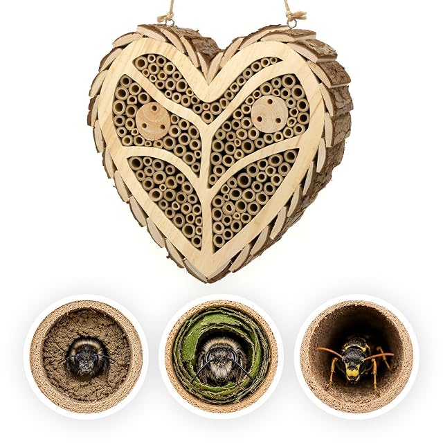 Foto 3 de 5 de CKB LTD Casa de abejas de madera con forma de corazón para colgar insectos, abejas solitarias, mariquitas
