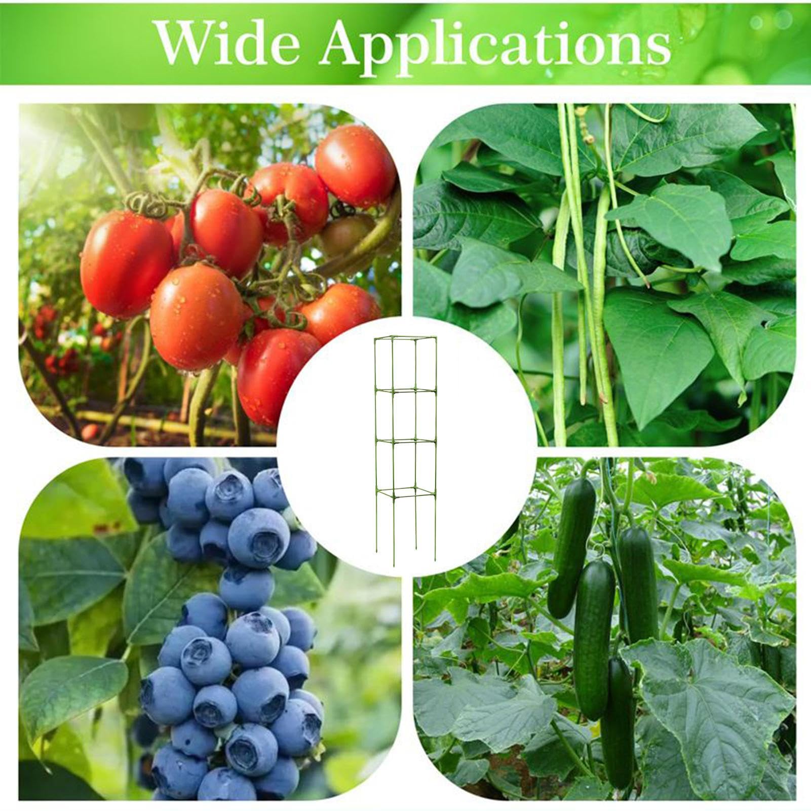 Tutor per Pomodori Pali Quadrati Robusti