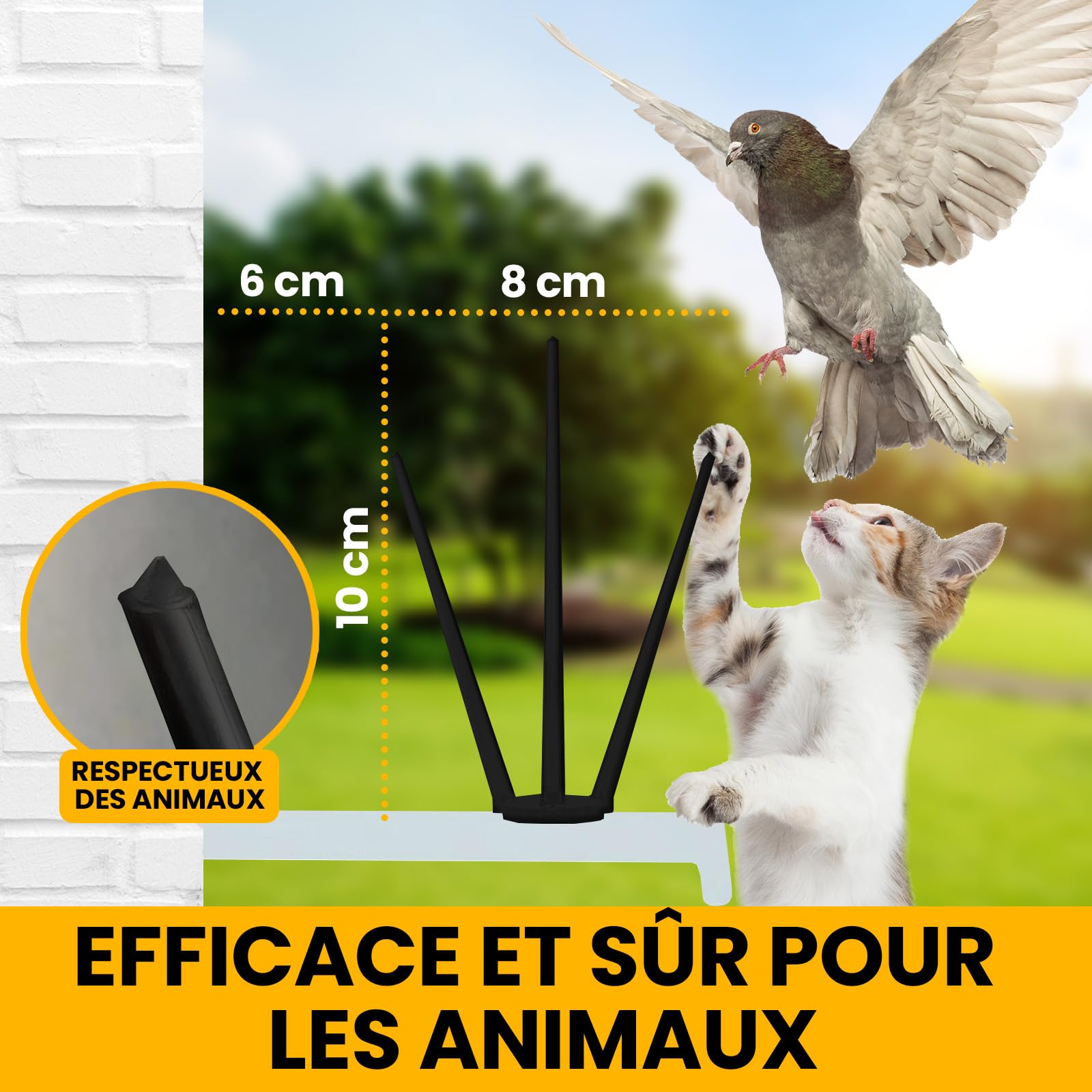 DY.2ten Pic Anti-Pigeon 3 M (10×30 Cm) – Plastique PP Résistant, Balcons, Toits, Jardins, Anti-Chats Aussi