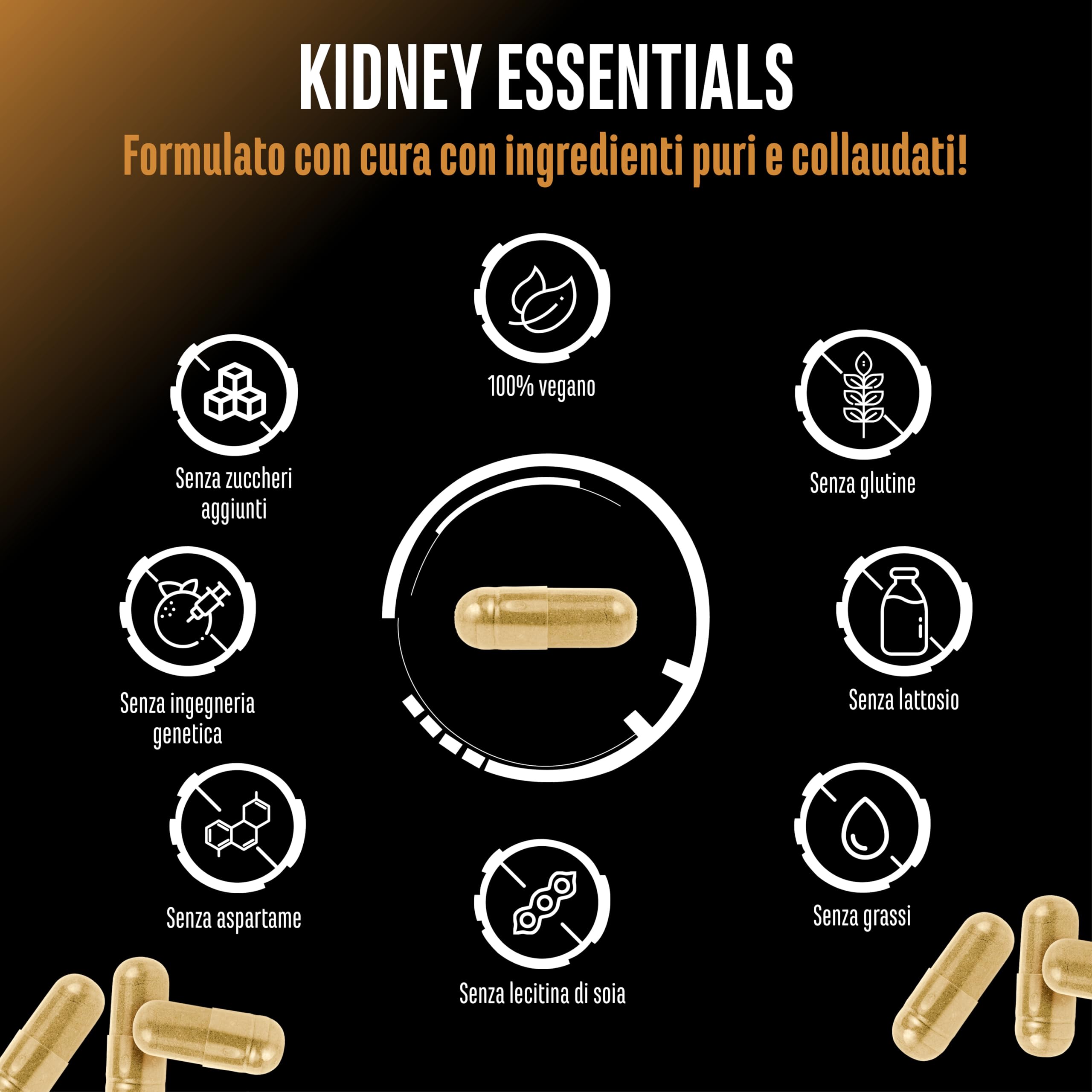 Kidney Essentials - 270 capsule - complesso Botanical Flush ad alto dosaggio con estratti di astragalo, ortica, amarena, corteccia di pino, sedano e verga d’oro - vegano